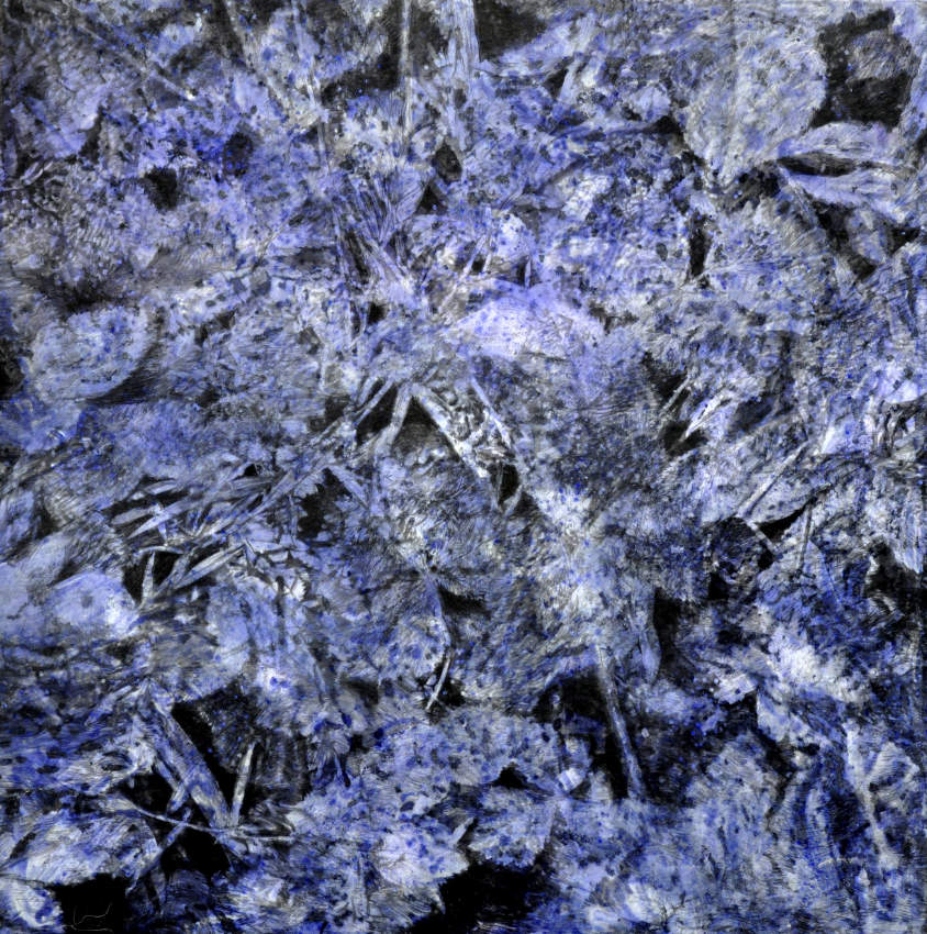 Bernard Rousseau, “Le Saulou violet à Larnagol, sur le Lot”, 2021, dessins au fusain et peinture sur papier de soie résiné, marouflé sur toile de lin et monté sur châssis, 140 x 140 cm.