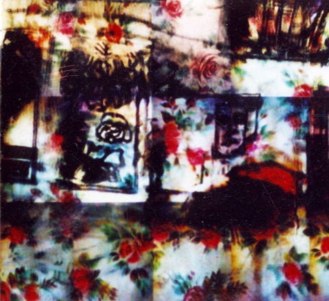 “Le soleil à minuit”, exposition de Bernard Rousseau au BBB, Toulouse. 2001.