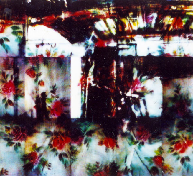 “Le soleil à minuit”, exposition de Bernard Rousseau au BBB, Toulouse. 2001.