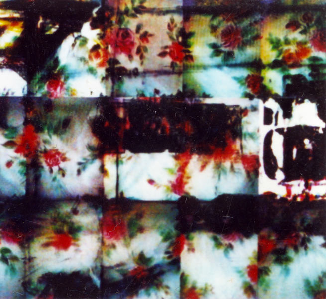 “Le soleil à minuit”, exposition de Bernard Rousseau au BBB, Toulouse. 2001.